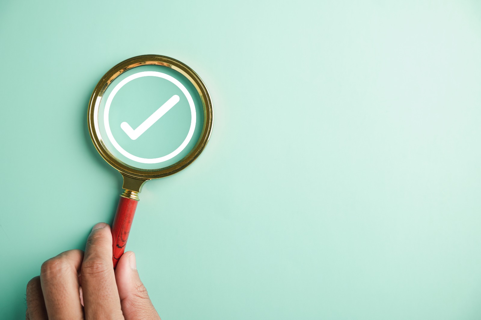 BIGU Group's Professional Advantages of audit service