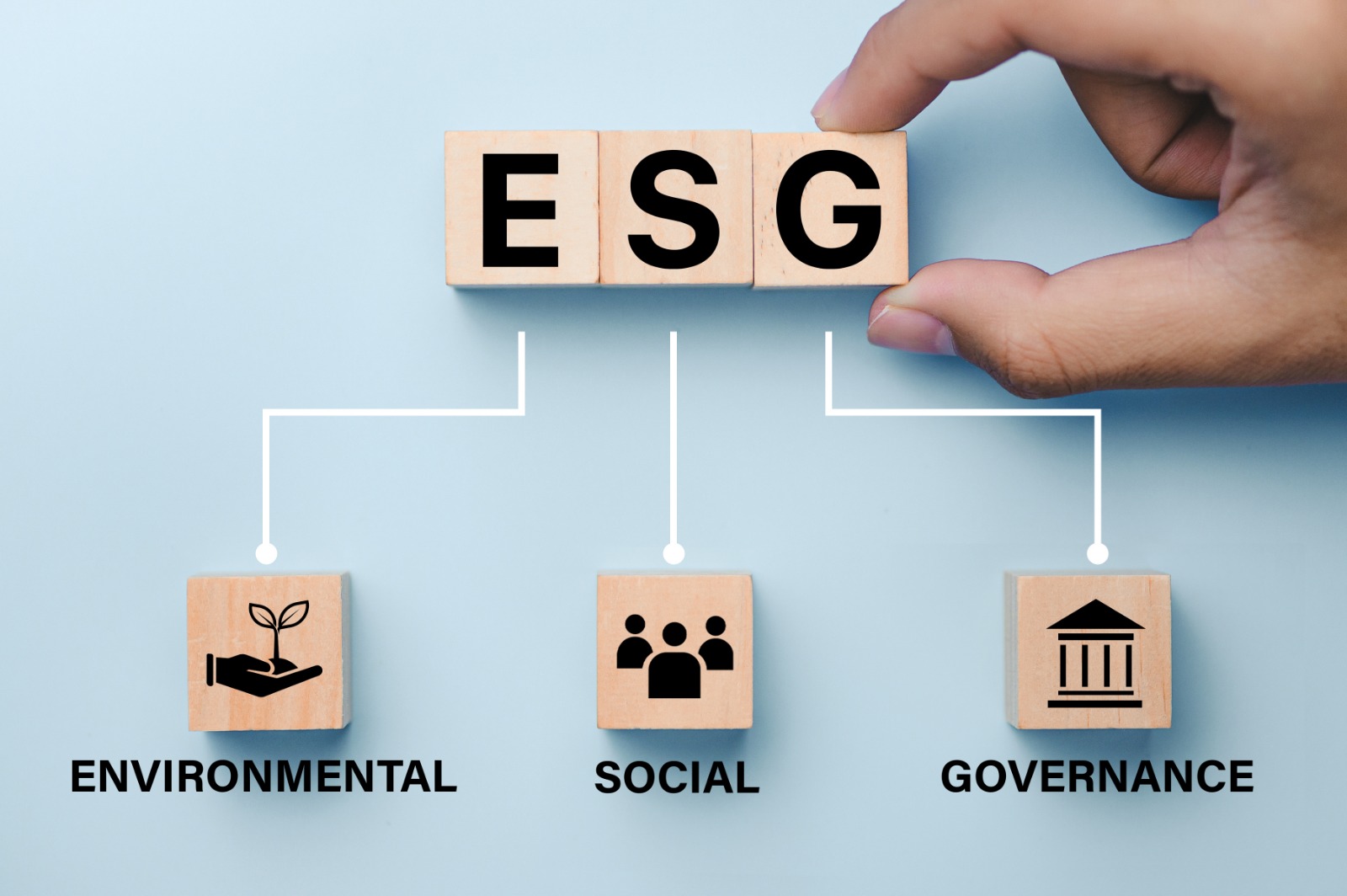 BIGU Group's Professional Advantages in preparing ESG reports