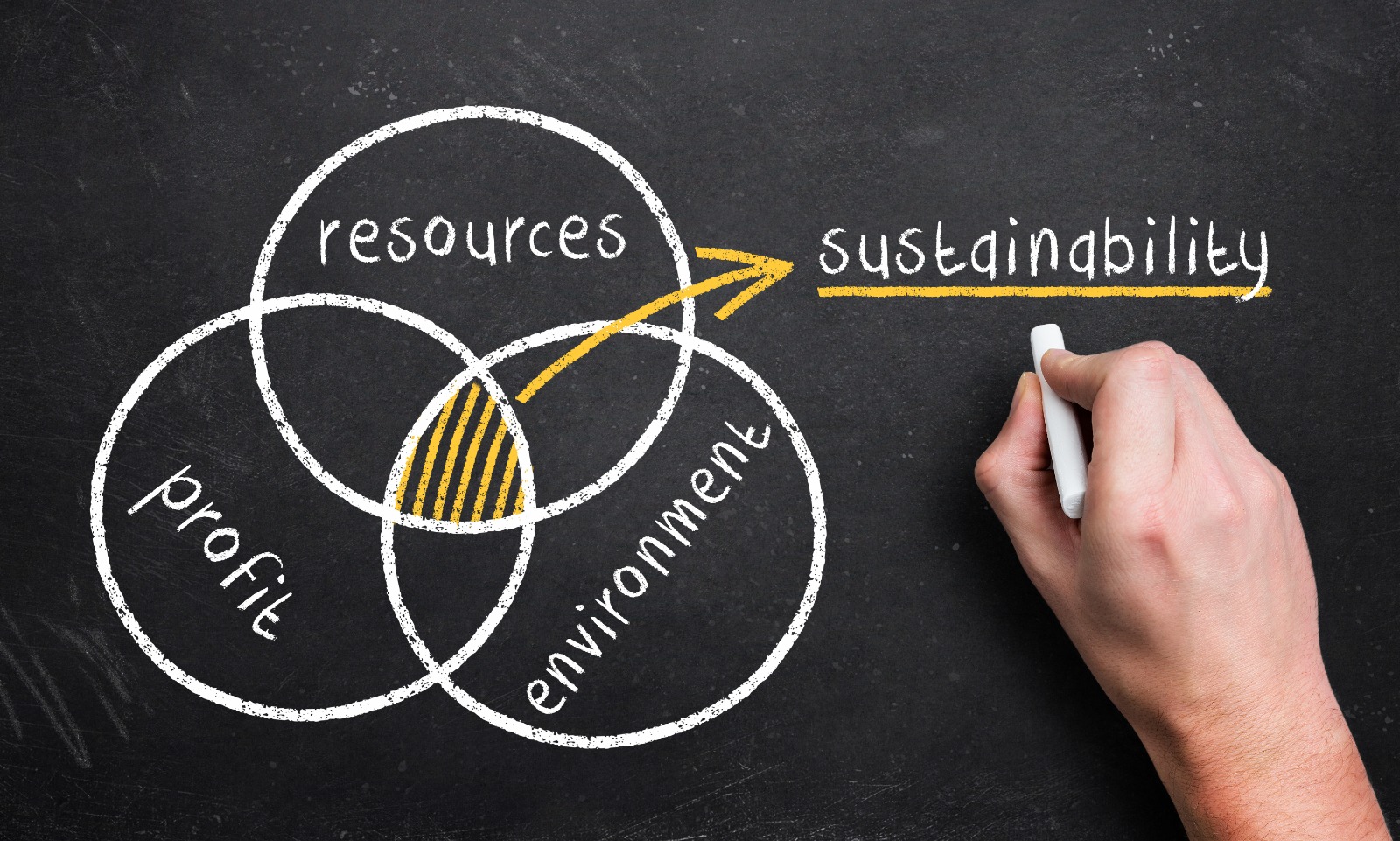 BIGU Group's Professional Advantages in preparing ESG reports